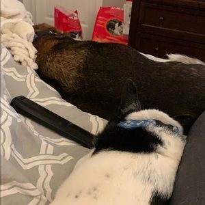 Meet your Posher, Steven